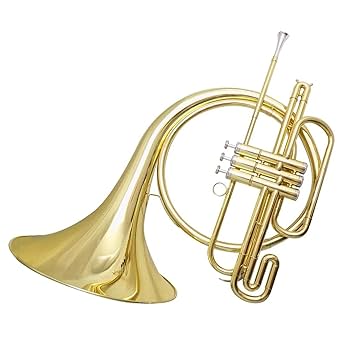 Amazon | 初心者フレンチホルン Bb トーン 3 ピストンフレンチ